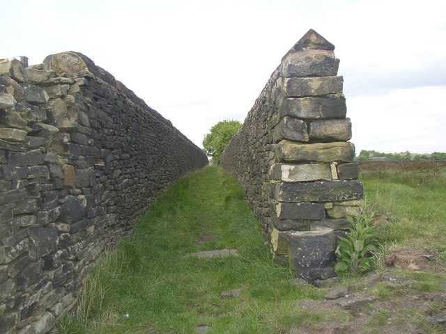 Footpath_at_Nab_End,_Longwood_-_geograph.org.uk_-_468589.jpeg