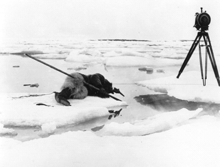 Hombre con parka tumbado sobre el hielo junto a un agujero, tirando de una cuerda de arpón, y a la derecha una cámara de cine sobre trípode enfocándolo