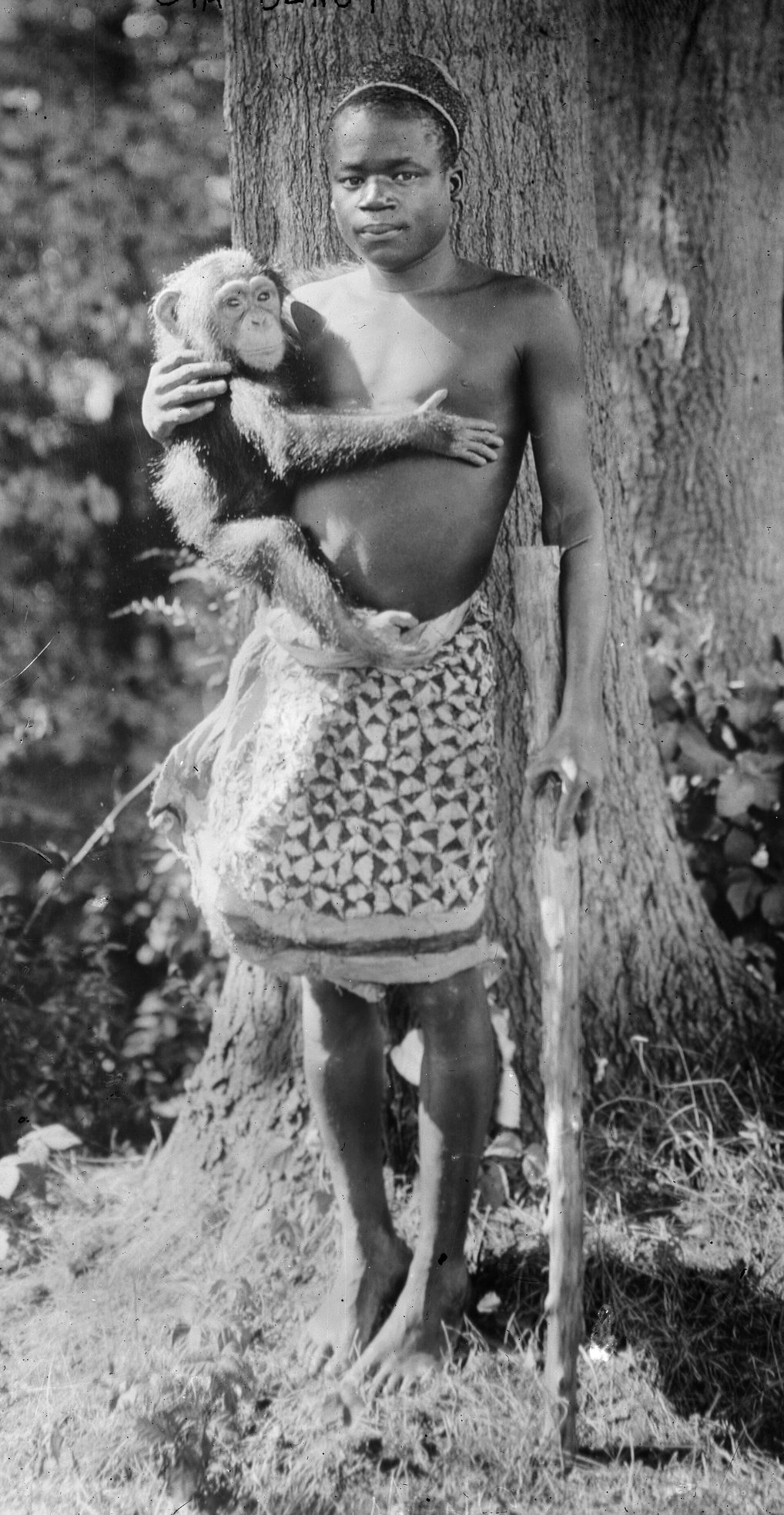 Fotografía de Ota Benga de pie junto a un árbol, con un chimpancé en brazos y un bastón en la mano derecha