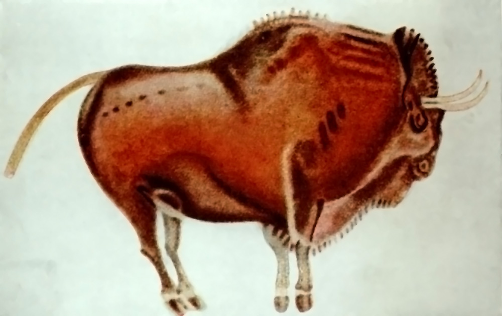 Calco en color de un bisonte de Altamira, de cuerpo rojizo y contorno negro, con las patas y la cabeza perfiladas sobre fondo claro