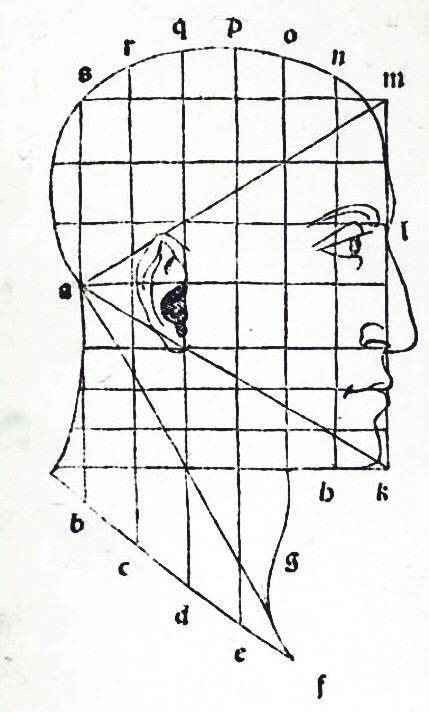 Grabado de un perfil de cabeza humana dentro de una cuadrícula, con líneas que forman un triángulo equilátero desde la barbilla hasta la frente