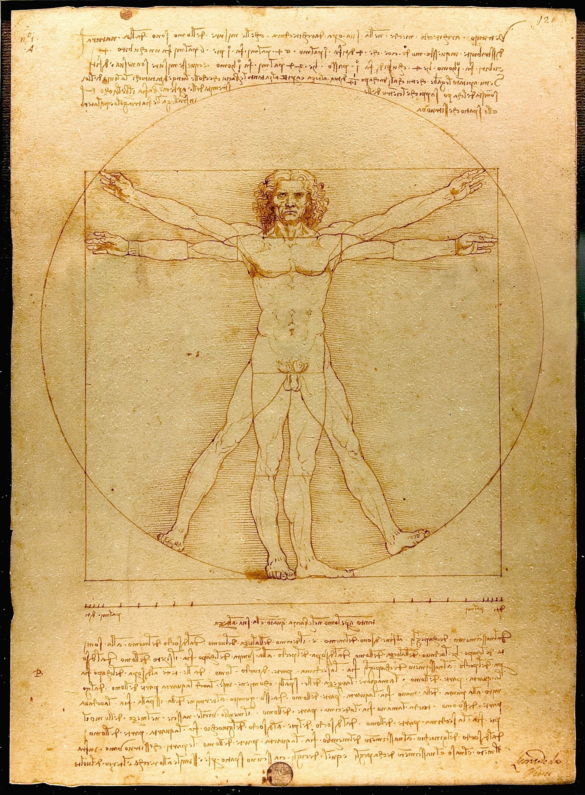 Dibujo a pluma de un hombre desnudo con los brazos y las piernas en dos posiciones superpuestas, inscrito en un círculo y un cuadrado, con texto manuscrito arriba y abajo