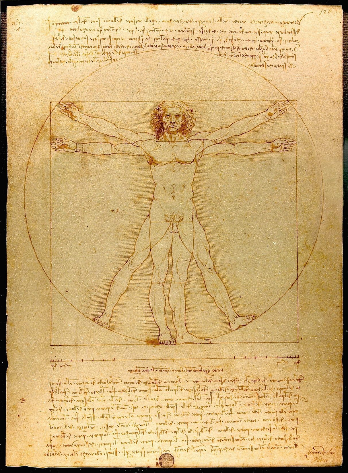 El hombre de Vitruvio de Leonardo da Vinci, figura masculina inscrita en un círculo y un cuadrado