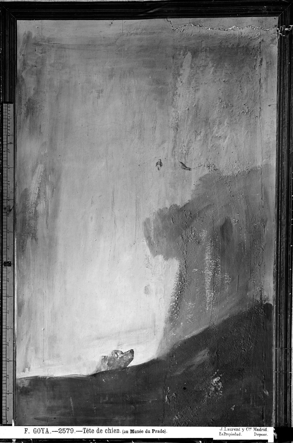 Fotografía antigua en blanco y negro de una pintura vertical casi vacía, con una cabeza de perro asomando al pie de una gran superficie clara