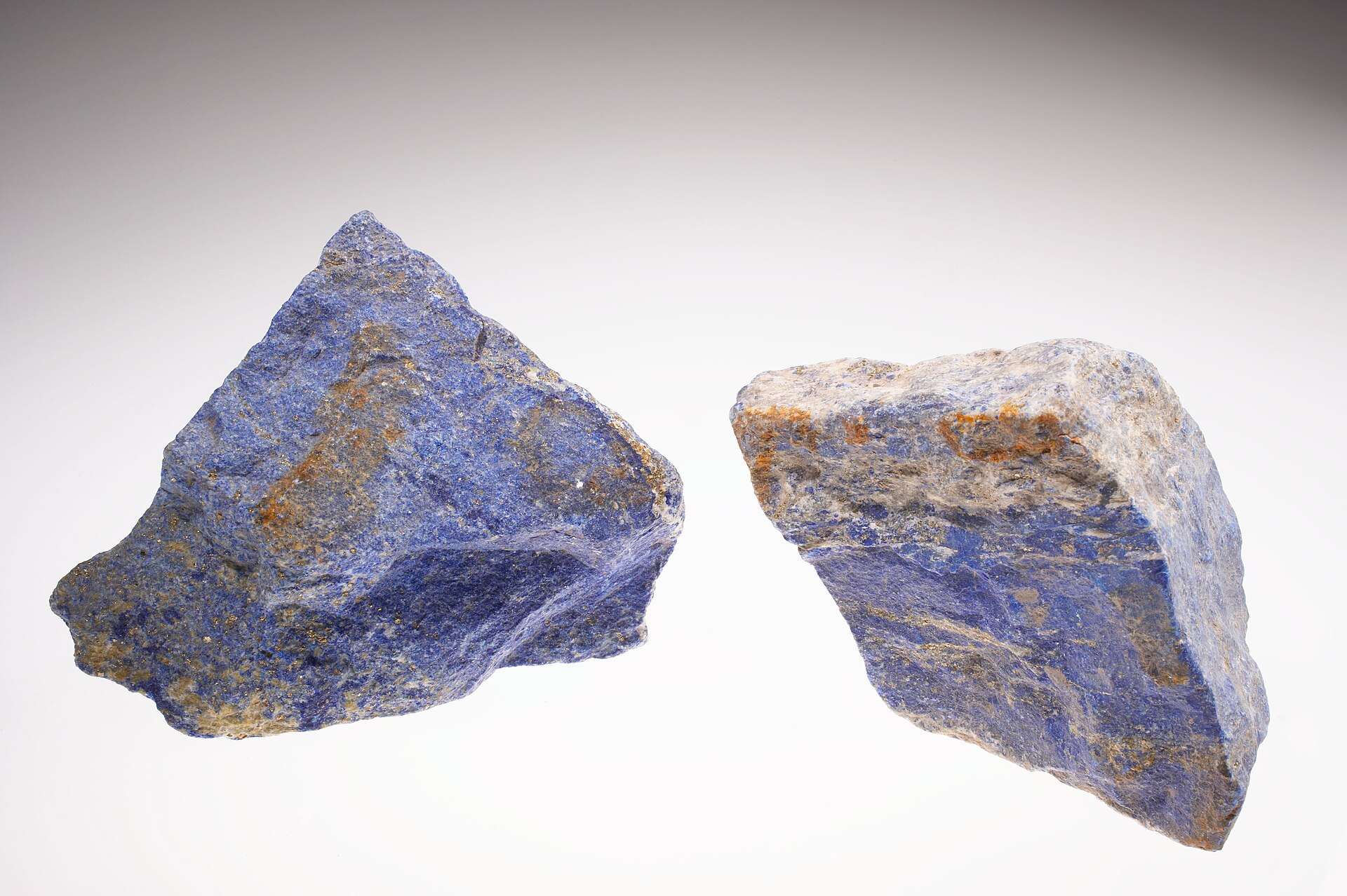 Dos fragmentos de lapislázuli sobre fondo blanco, de un azul intenso con vetas doradas de pirita y manchas blancas de calcita