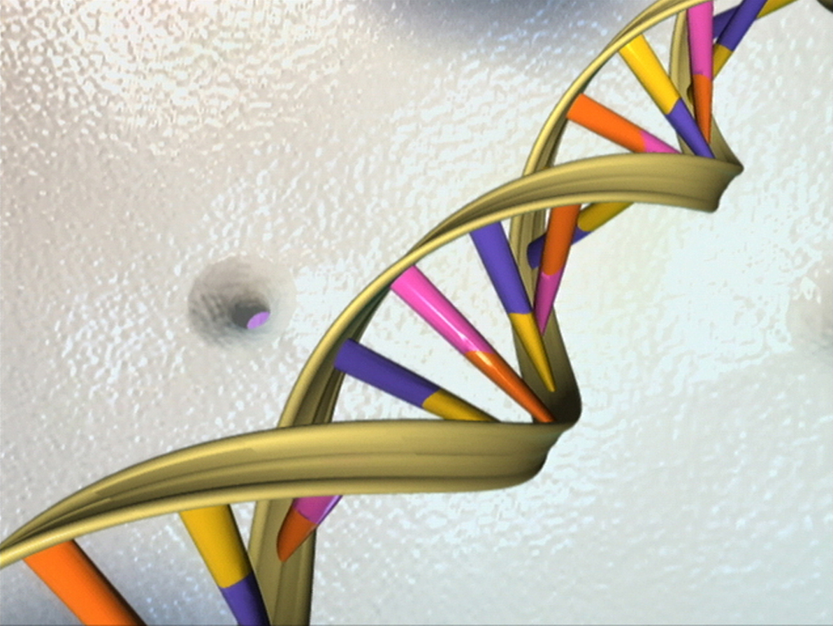 Ilustración de la doble hélice del ADN: dos cintas enrolladas en espiral unidas por peldaños de colores que representan las bases