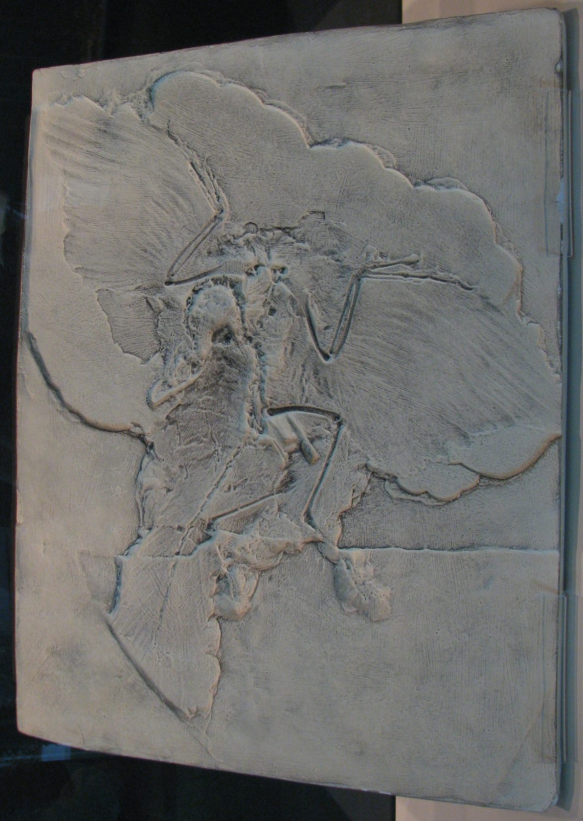 Losa de piedra caliza con el esqueleto de un animal parecido a un ave, con las alas abiertas y la huella de las plumas alrededor