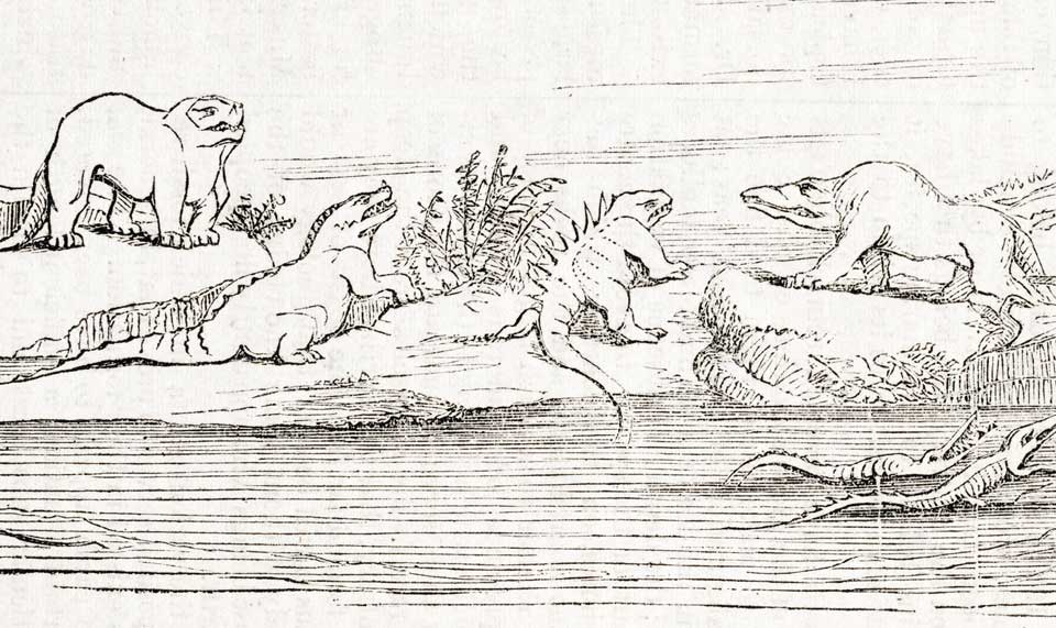 Dibujo antiguo de varios reptiles enormes de aspecto de lagarto sobre una isla en un lago, con árboles alrededor