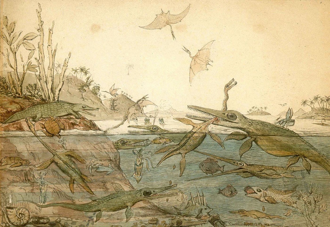 Acuarela antigua de un mar prehistórico lleno de reptiles marinos que se atacan unos a otros, con reptiles voladores en el cielo