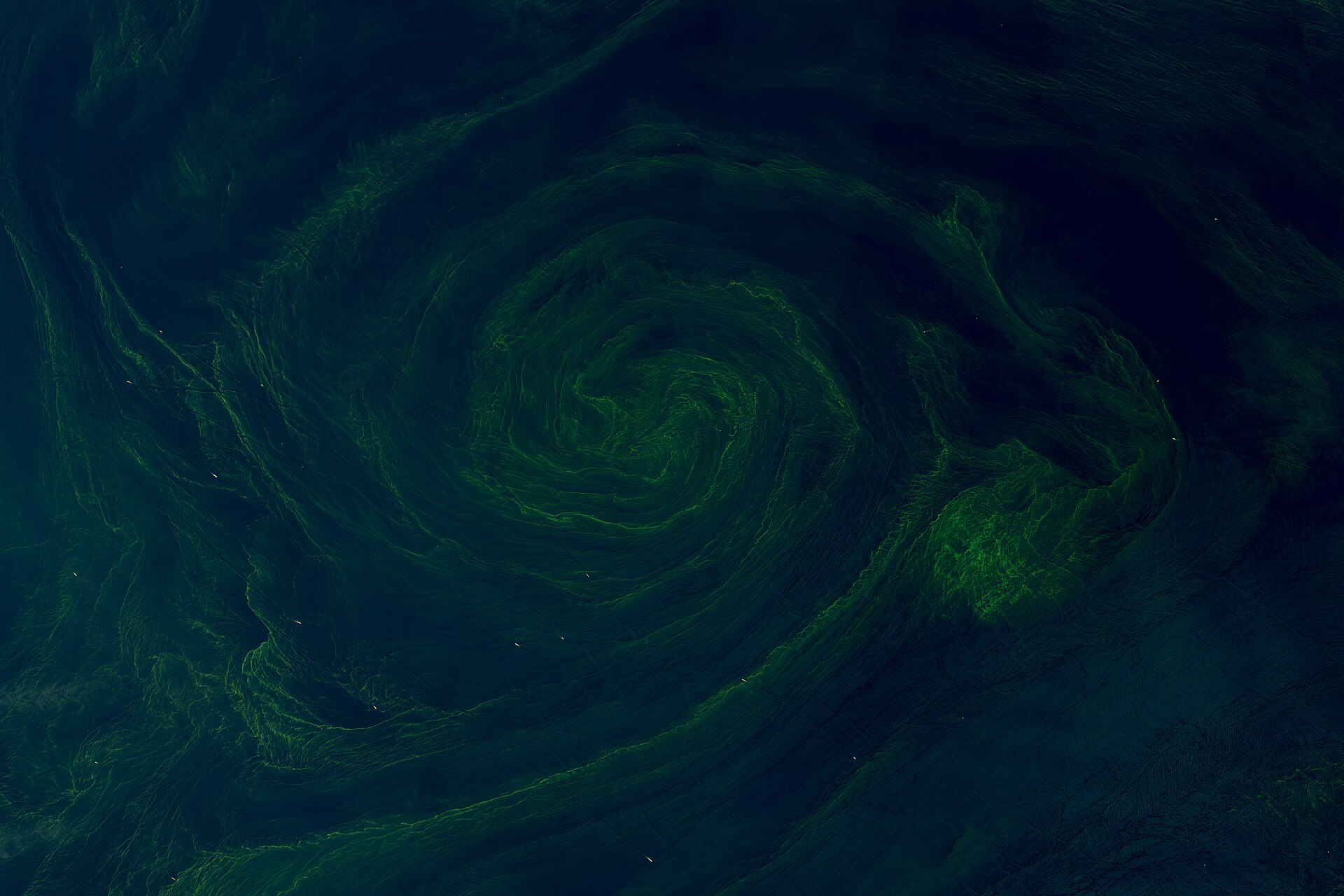 Fotografía de satélite del mar con grandes remolinos verdes y turquesa formados por una floración de fitoplancton