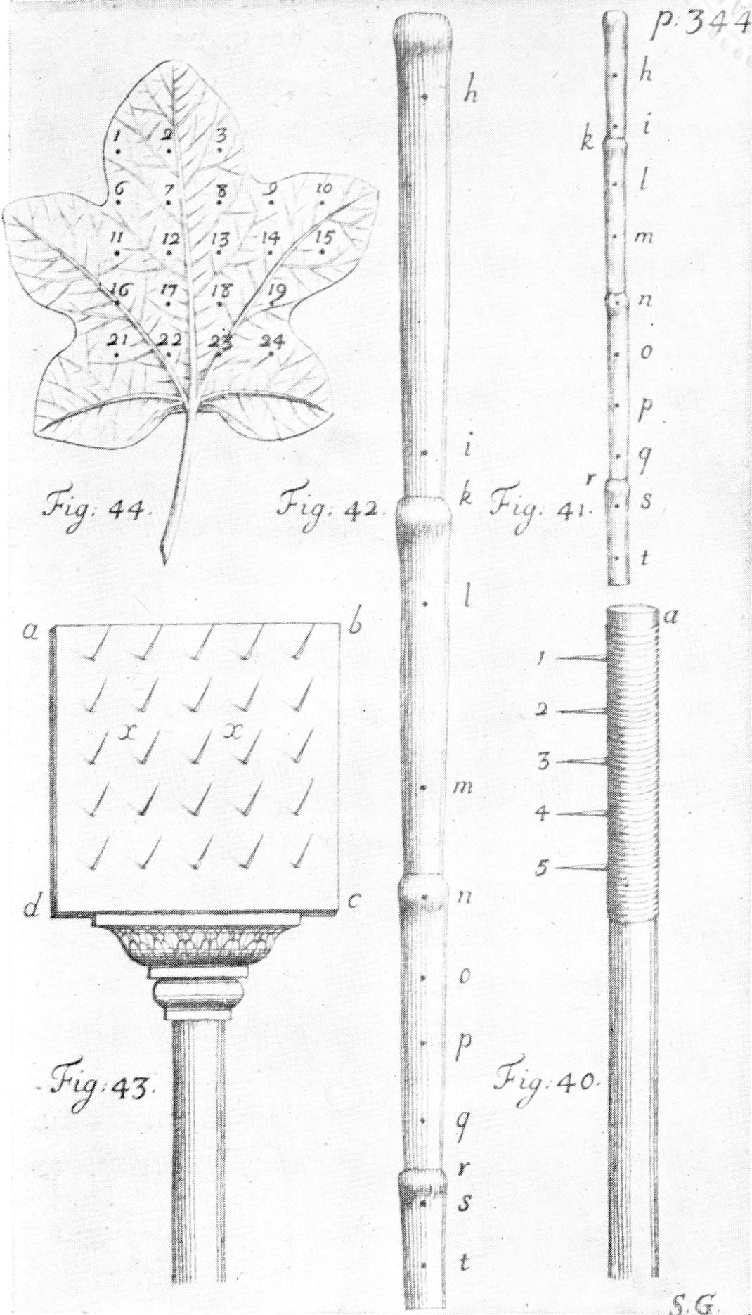 Grabado antiguo con varios experimentos sobre plantas: ramas conectadas a tubos de vidrio con mercurio y agua para medir la presión de la savia