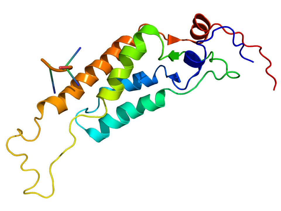 Modelo de la estructura del virus del mosaico del tabaco: un tubo largo formado por proteínas colocadas en espiral alrededor de una hebra de ARN