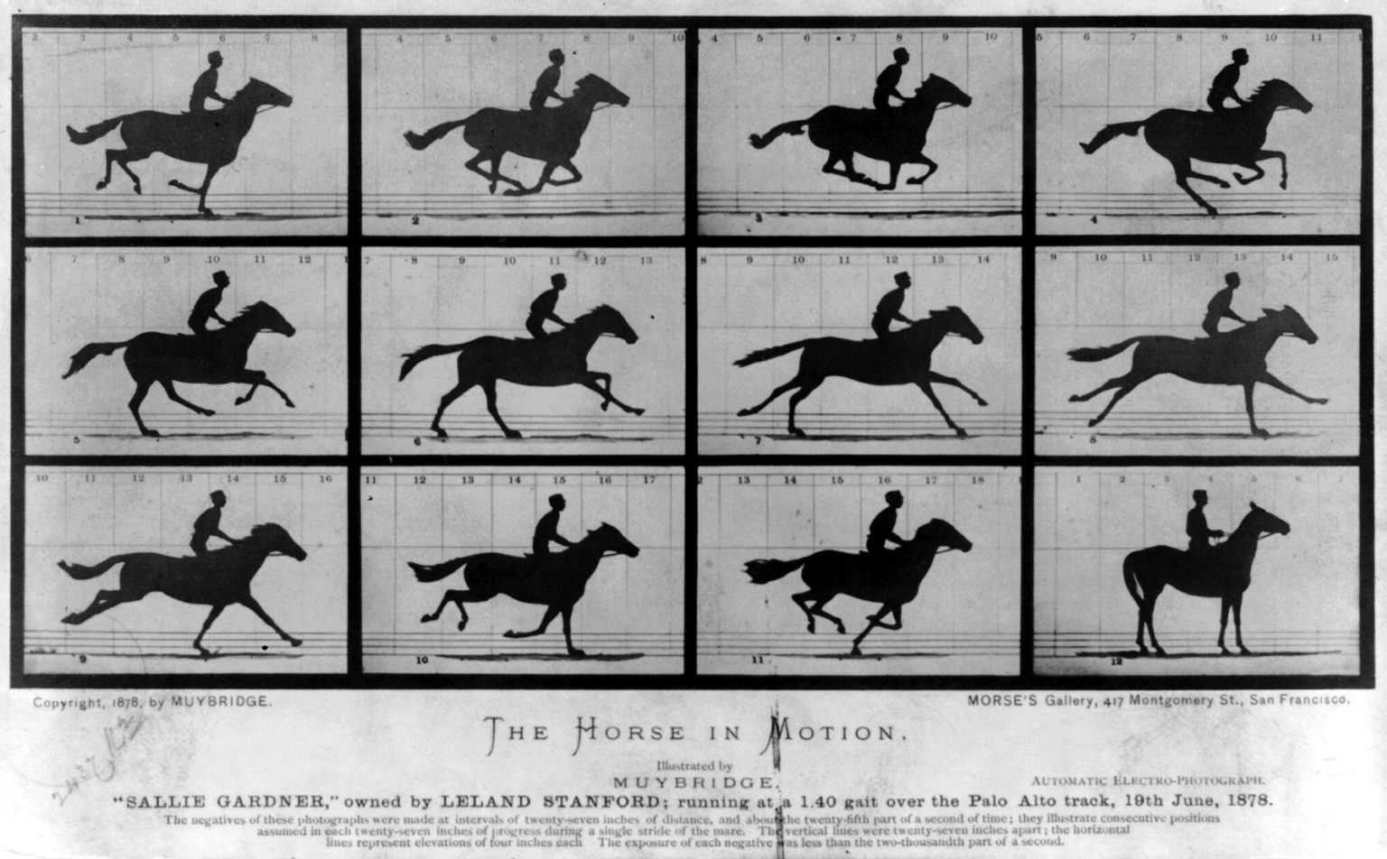 Lámina de 1878 con dieciséis fotografías en cuadrícula de un caballo al galope con jinete, en fases sucesivas del movimiento