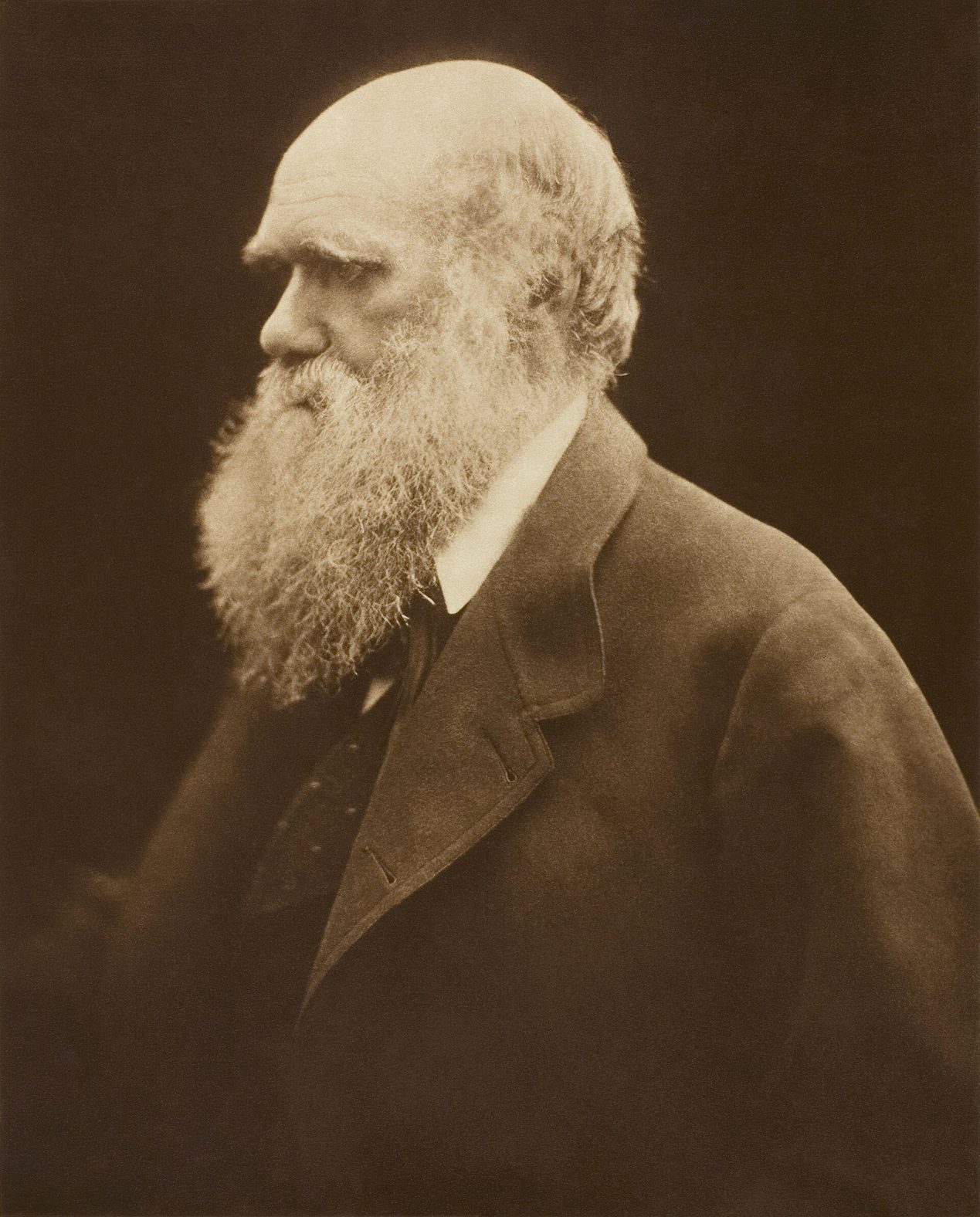 Retrato fotográfico de hacia 1868 de Charles Darwin de perfil, con barba larga, en penumbra y con los bordes desenfocados