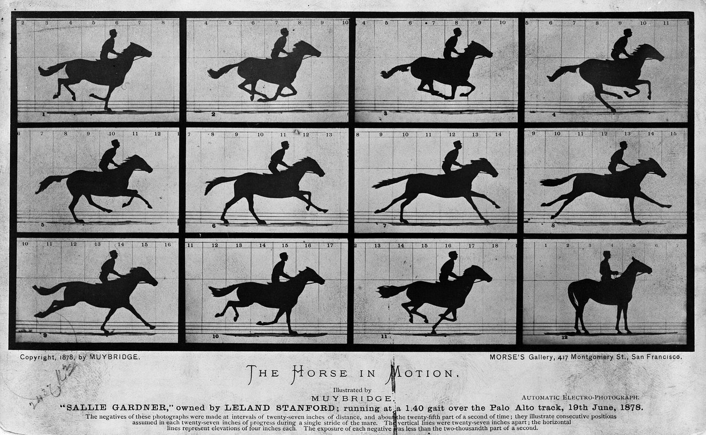 Secuencia de doce fotogramas de un caballo al galope, Eadweard Muybridge, 1878