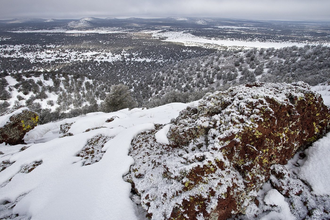 Llanura de roca volcánica oscura y rota, salpicada de nieve y de matorrales y pinos bajos, que se extiende hasta el horizonte