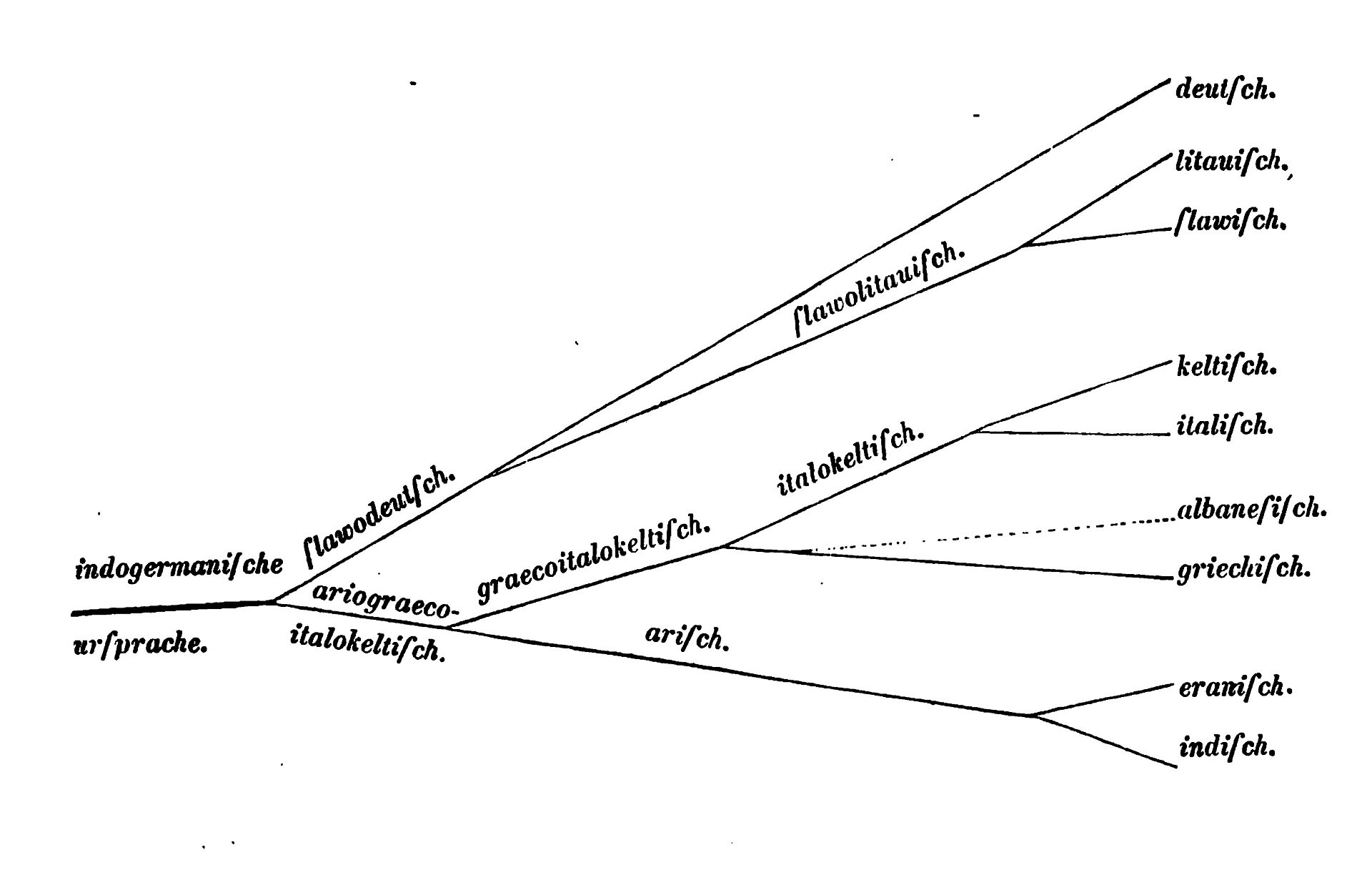 Diagrama en forma de árbol tumbado: de un tronco a la izquierda rotulado como lengua originaria indogermánica salen ramas que se dividen hacia la derecha hasta terminar en los nombres de lenguas como alemán, lituano, eslavo, celta, italiano, albanés, griego, iranio e indio