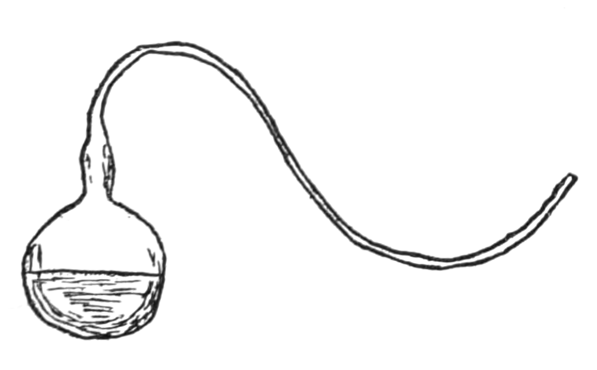 Dibujo lineal de un matraz redondo con líquido y un cuello largo y curvado en forma de cuello de cisne