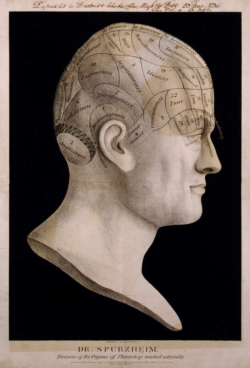 Litografía de una cabeza humana de perfil, como un busto de escayola, con el cráneo dividido en áreas numeradas y rotuladas
