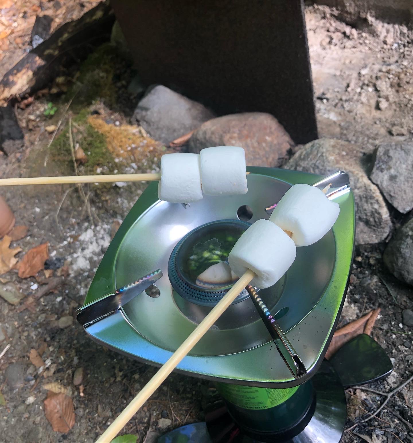Varios malvaviscos blancos pinchados en palitos de madera sobre un hornillo de camping