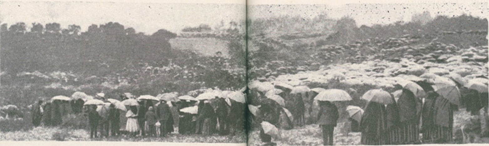Fotografía panorámica en blanco y negro de una multitud bajo paraguas en un terreno abierto con árboles al fondo, en un día de lluvia